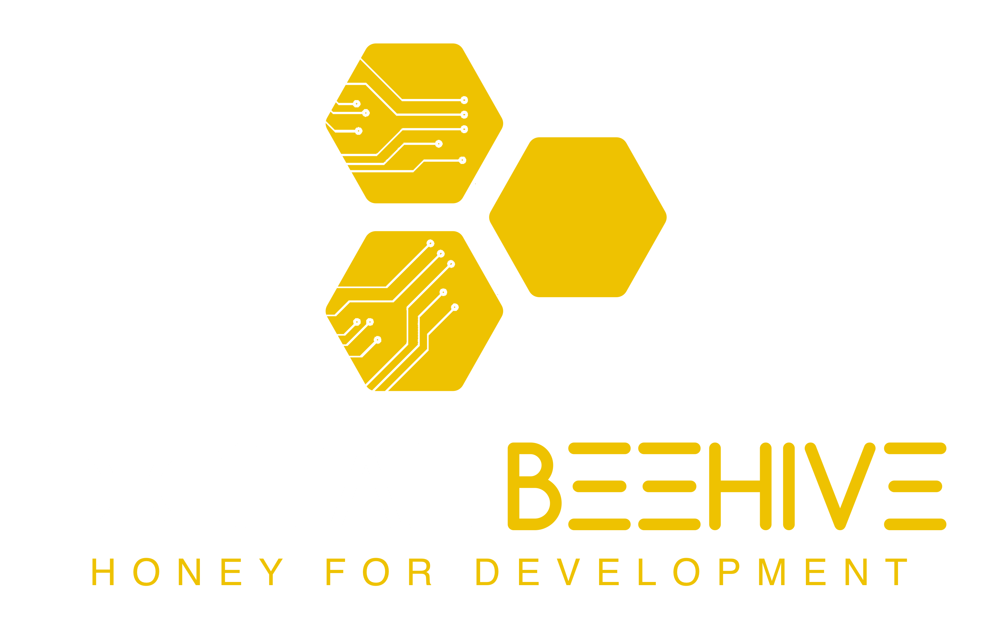 Digital Beehive